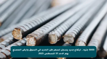 3000 جنيه.. ارتفاع جديد يسجل لسعر طن الحديد في السوق وأرض المصنع يوم الأحد 31 أغسطس 2025